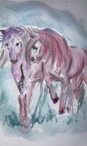 dreamy horses